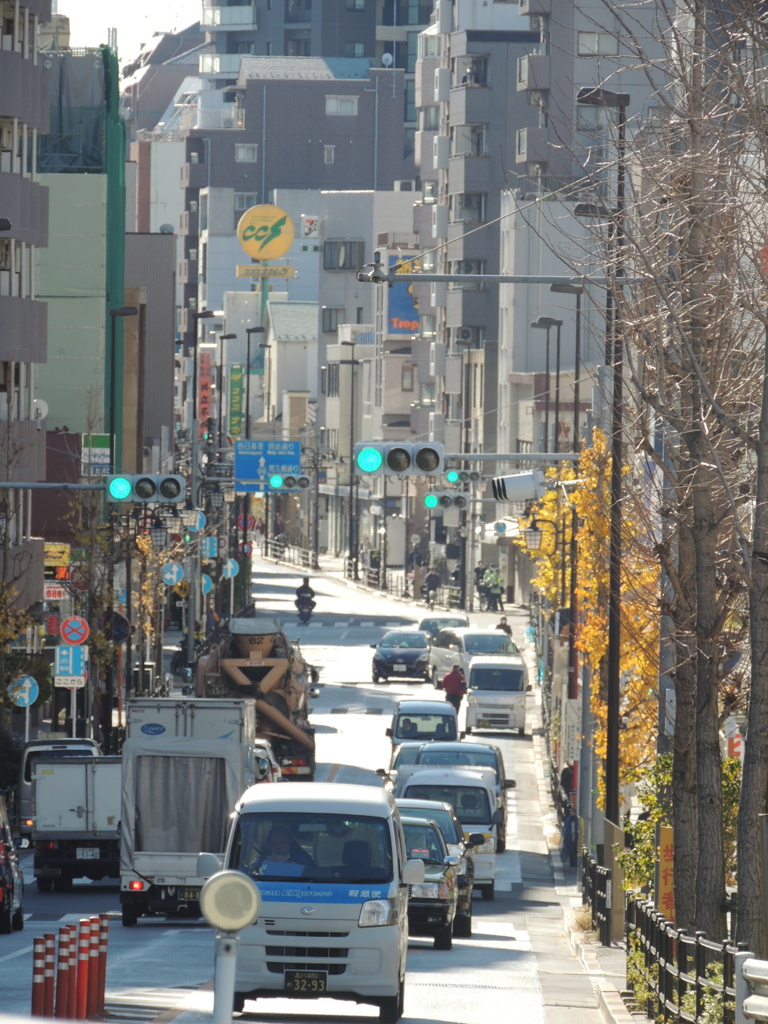 尾竹橋から見た町屋荒木田方面