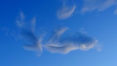 空の雲