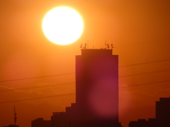 荒川土手から'22.01.22のサンシャイン60と夕日