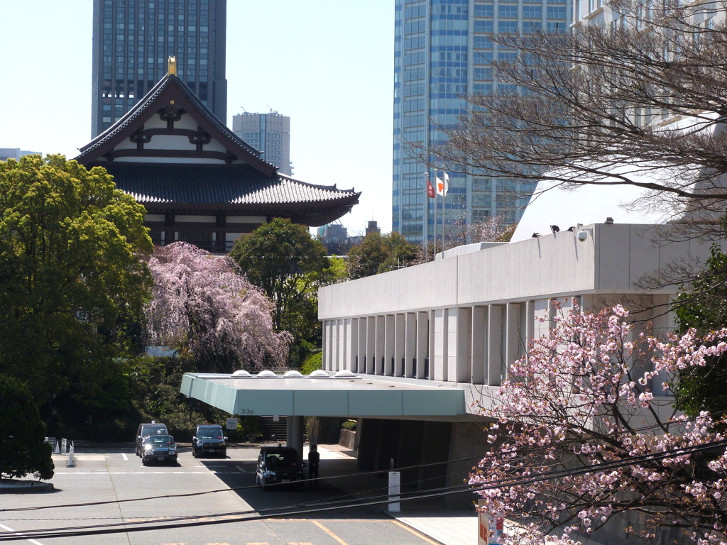 港区芝のホテルの桜・紅枝垂桜と御車返しの桜