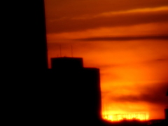 文京区のビルからの池袋サンシャインビルサイドの落日