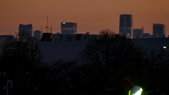 荒川土手から隅田川の向芝方面~麻布台方面の夜景