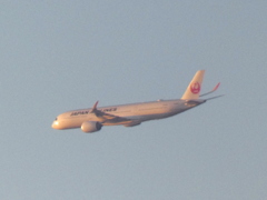 隅田川上空のJAL機
