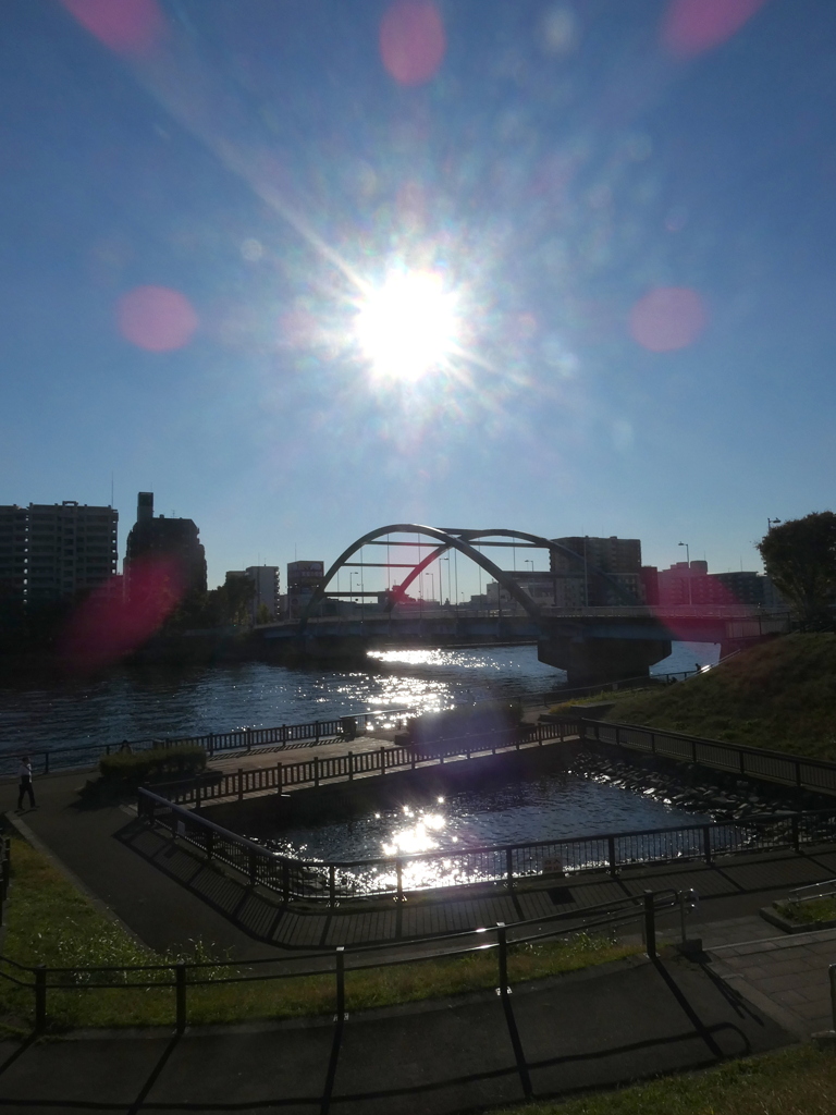 隅田川の逆光の尾竹橋