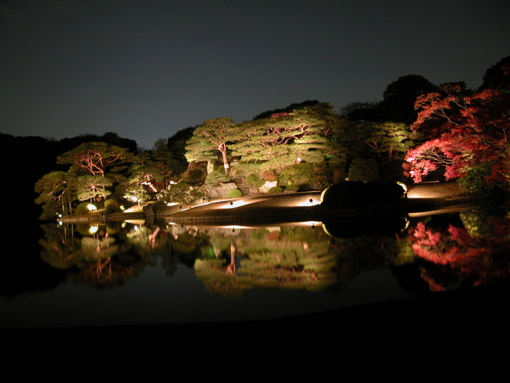 六義園の池のライトアップ