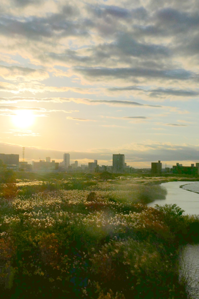 荒川の晩秋の夕日