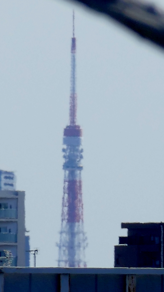 荒川土手電線のの隙間から