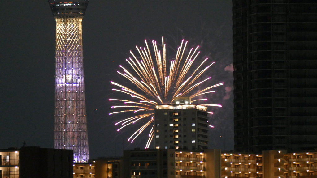 足立区から見た'24隅田川第一会場の花火１