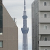 千駄木白蛇坂の東京スカイツリー