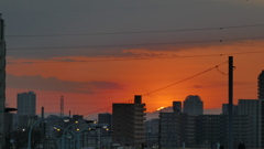 荒川土手から滝子山左裾野に入る