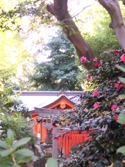 根津神社の秋