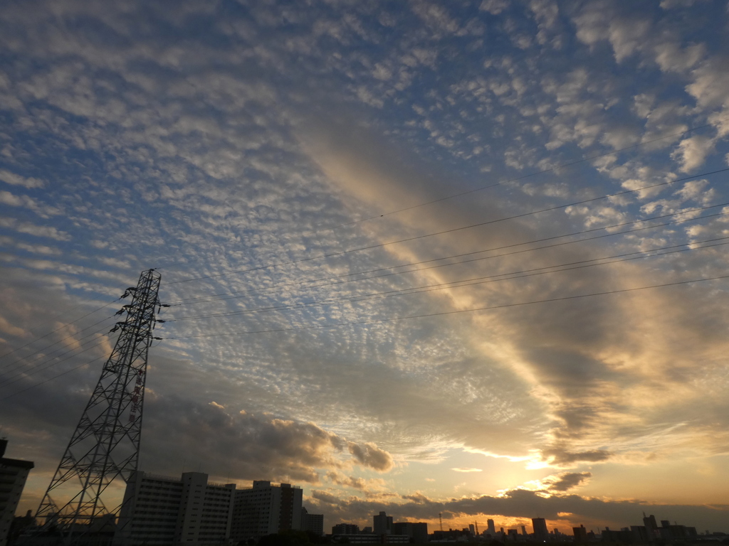 西新井橋上の西新井巨大な黄金雲と高積雲