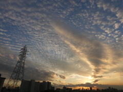 西新井橋上の西新井巨大な黄金雲と高積雲