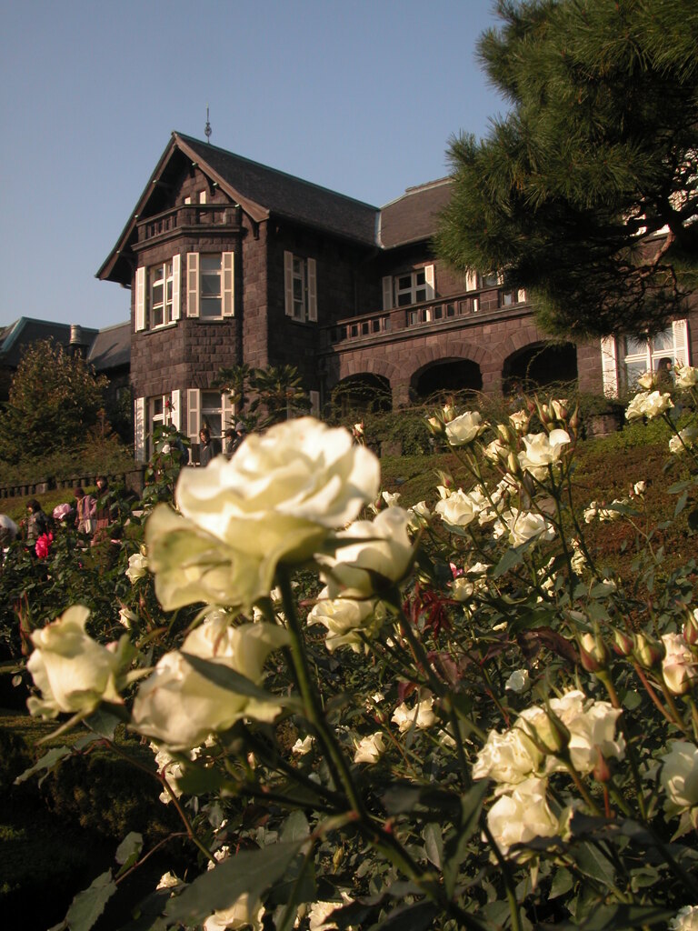 旧古川庭園の洋館と秋の白薔薇