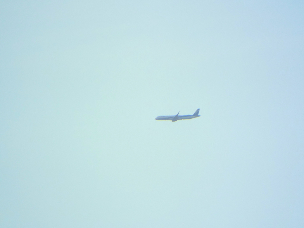 隅田川上空のANA機