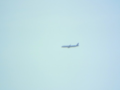 隅田川上空のANA機
