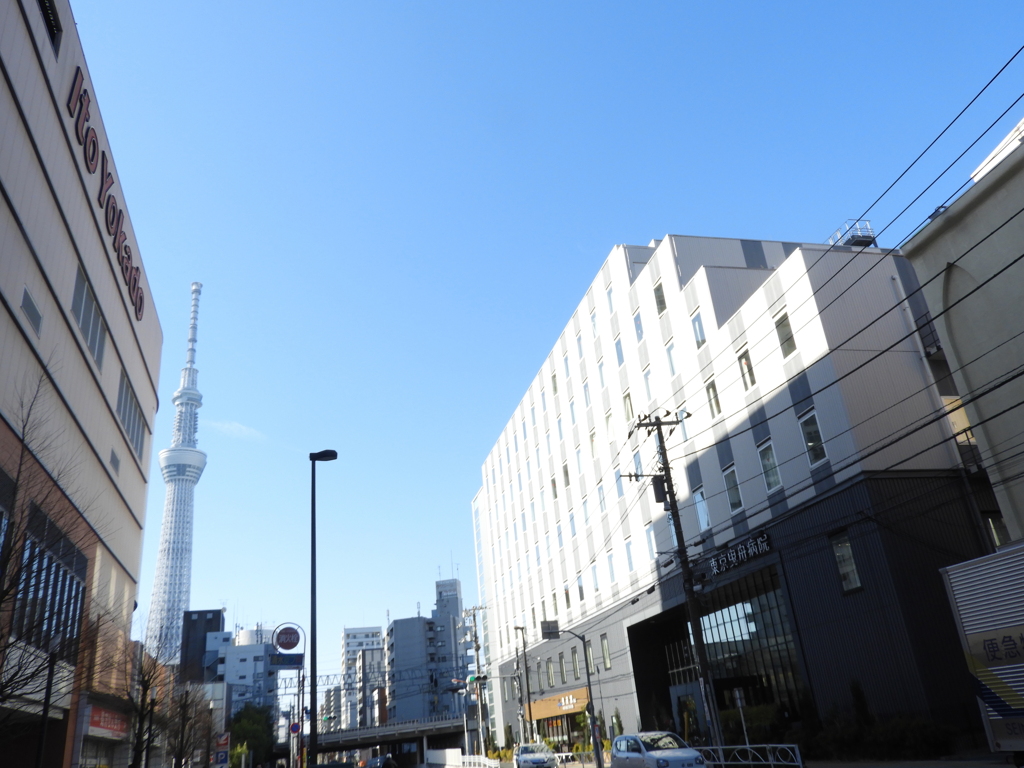 東向島曳舟通りの東京スカイツリーと右病院付東武駅