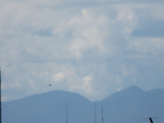 丹沢山