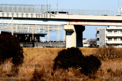 千住日の出緑地から対岸の高速高架下の小菅駅の奥に見える筑波山