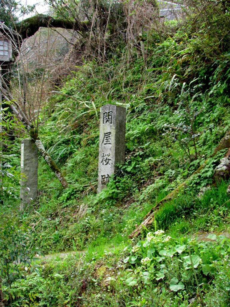 金峯山寺の参道脇に’関屋桜跡’の石碑がある (関屋は、関所の番小屋）