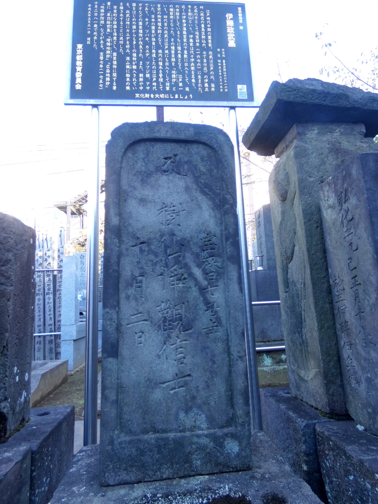 染井霊園傍西福寺にソメイヨシノを作った植木職人の伊藤伊兵衛の墓