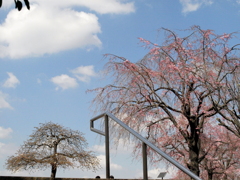 尾久の原公園の土手に上がる階段の景色