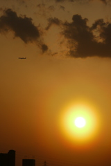 ホヤ被る夕日と黒雲