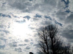 千住元宿のイチョウ稲荷と冬の雲