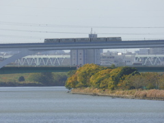 秋の荒川放水路と