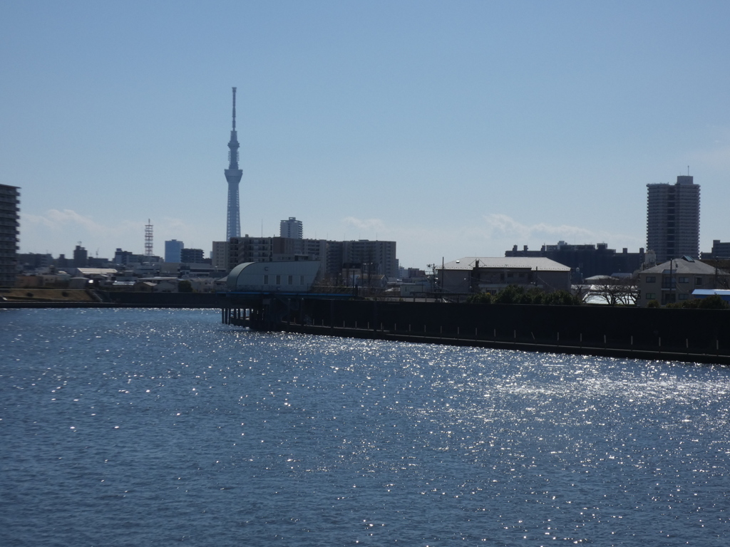 東京スカイツリーの見える隅田川の春の川面