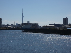 東京スカイツリーの見える隅田川の春の川面