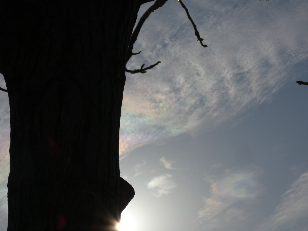 巻雲の薄い彩雲