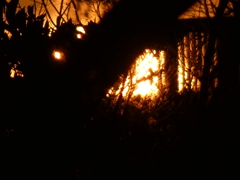 鉄塔に落ちる夕日