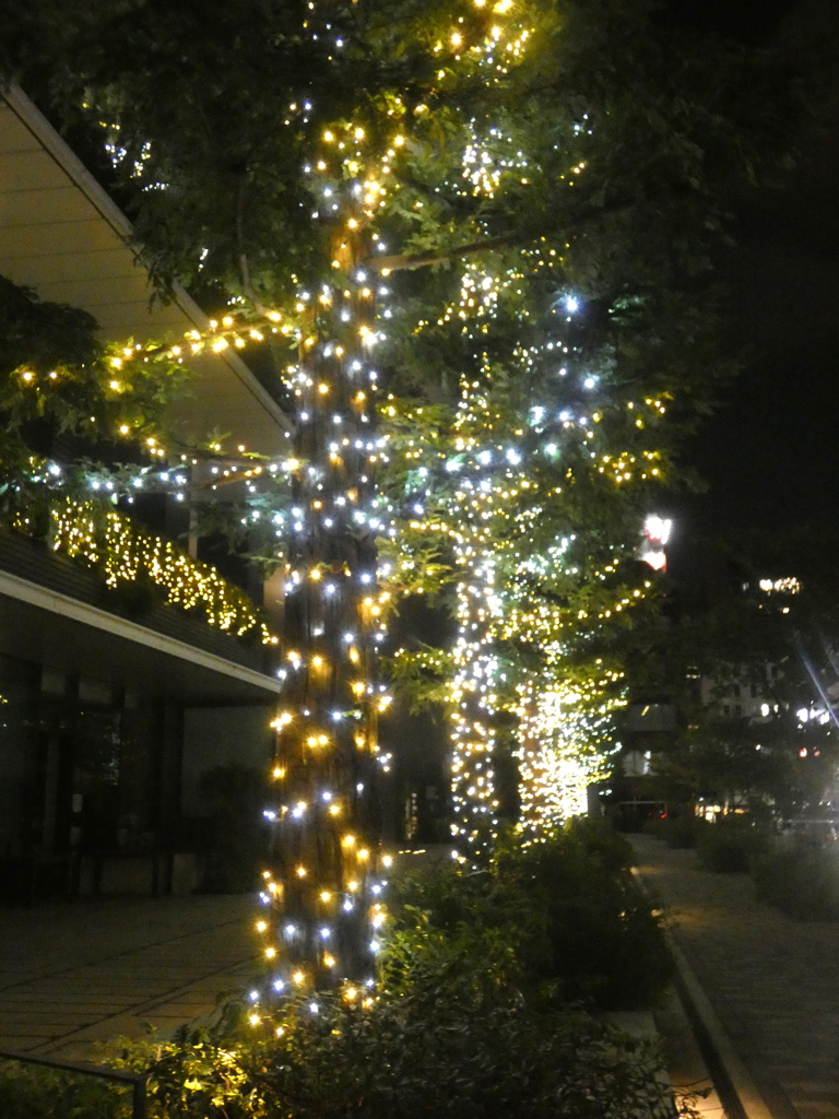 京橋のほかのビルのイルミネーション