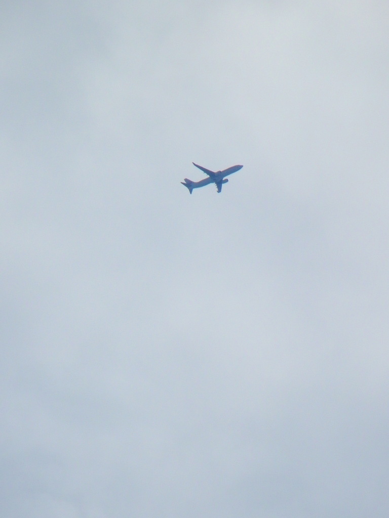朝の白雲の中の走るジェット旅客機