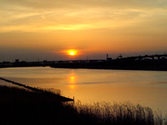 荒川のワンドの夕日