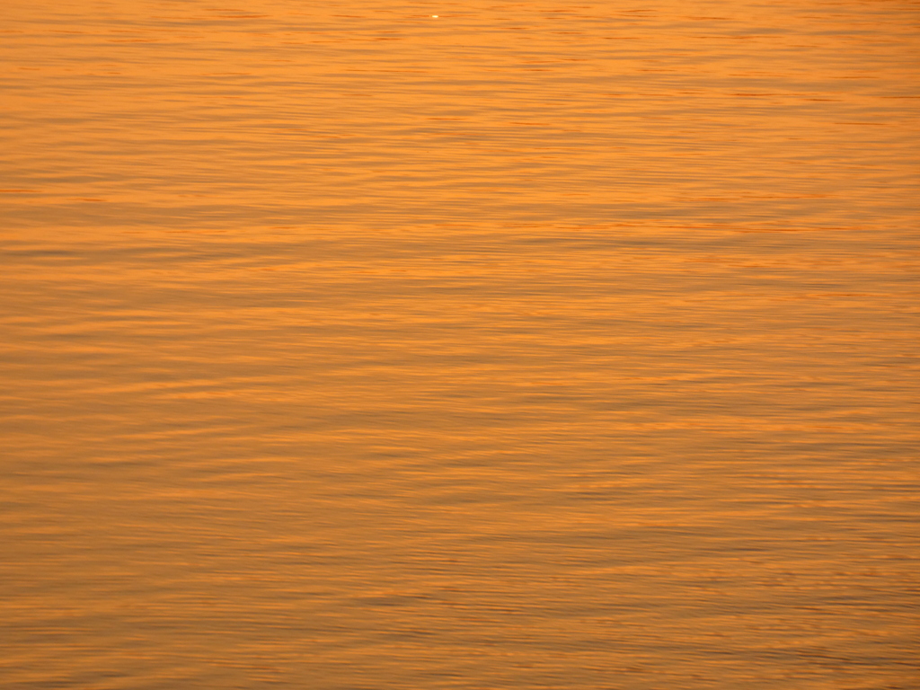 ’22.3．すこし春風の当たる夕暮れの荒川