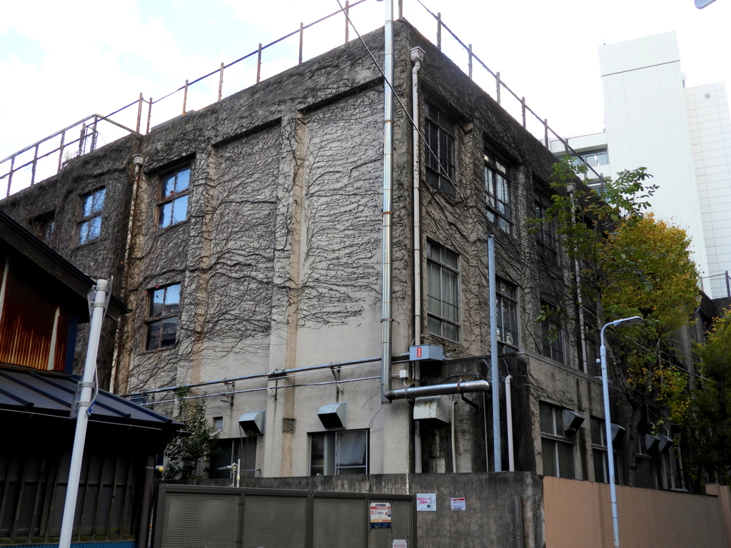 ツタの絡まる下谷小学校の校舎の裏