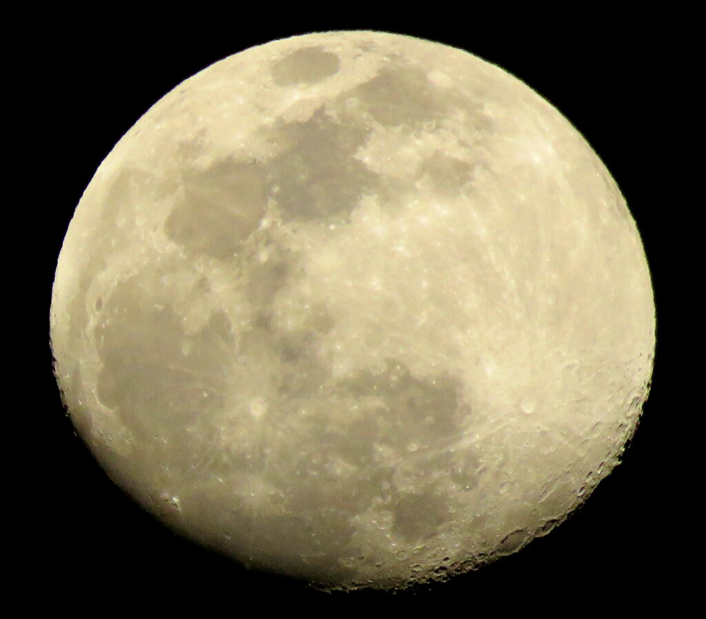 '23.04.04.の齢13.4の月面