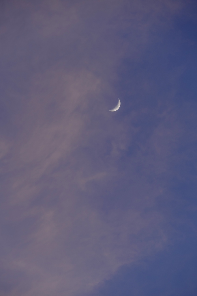 夕焼け雲と月齢4.6