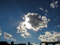 隅田川上空の太陽を遮る大きな金魚のような積雲