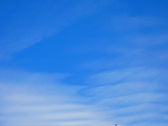 巻積雲波状雲２