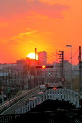 荒川土手から