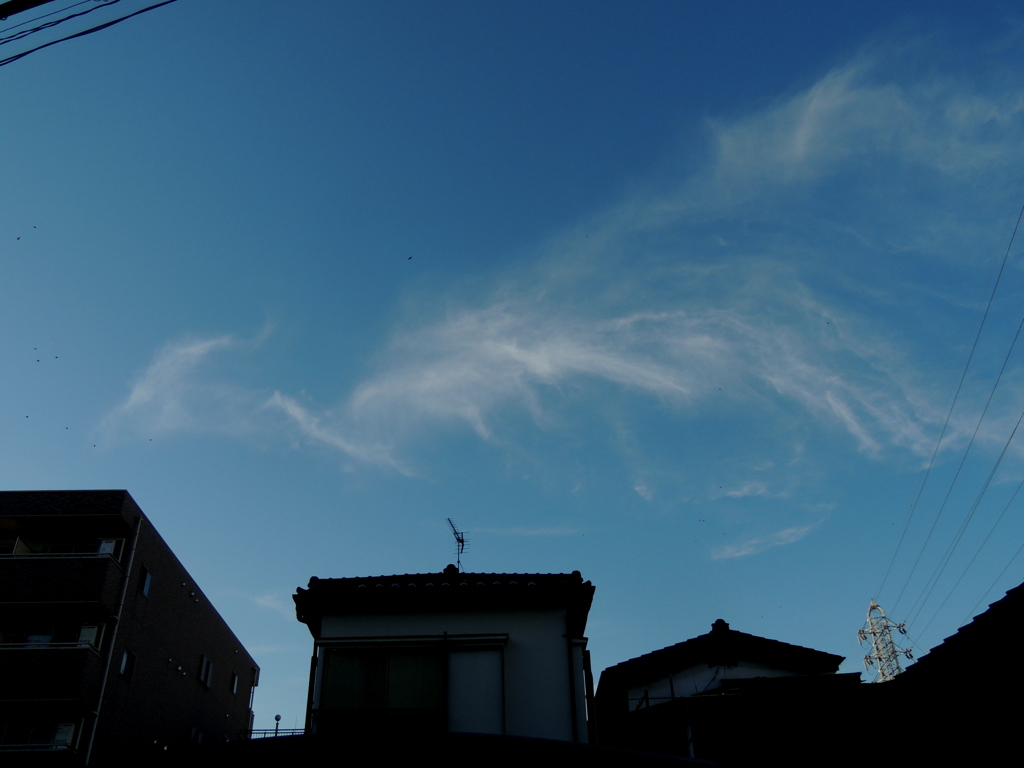 ’２３新春の千住桜木上空の白い不死鳥雲
