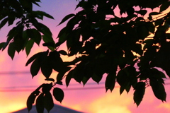 カラフルな夕焼