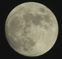 立冬MOON’22.11.0719:54.10フレーム画像処理（８日は皆既月食）