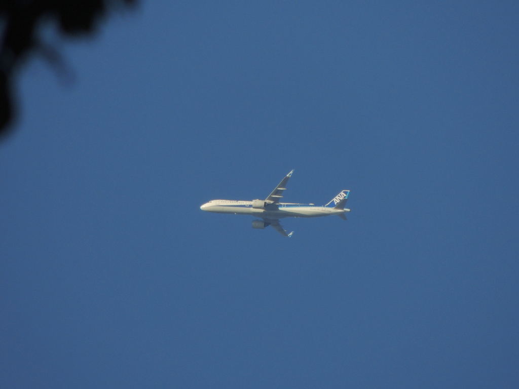 上野大佛上空のANA機