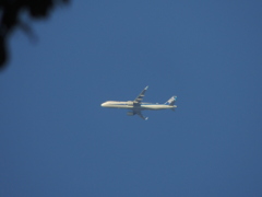 上野大佛上空のANA機