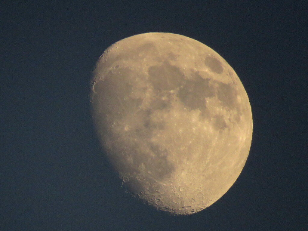 夕日被る月齢10.6