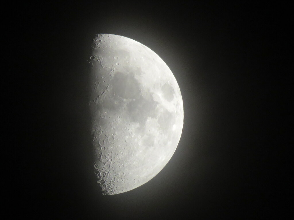 月齢8.3